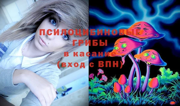 амф Санкт-Петербург
