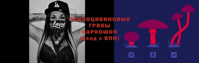 экстази Коряжма