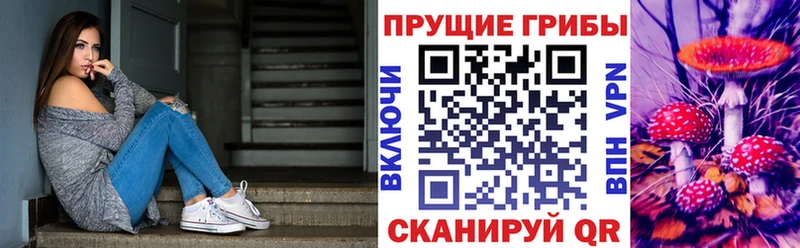 Галлюциногенные грибы GOLDEN TEACHER дарк нет официальный сайт Железногорск