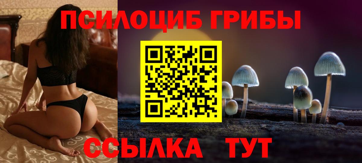 Псилоцибиновые грибы ЛСД  Вход с VPN  Железногорск 
